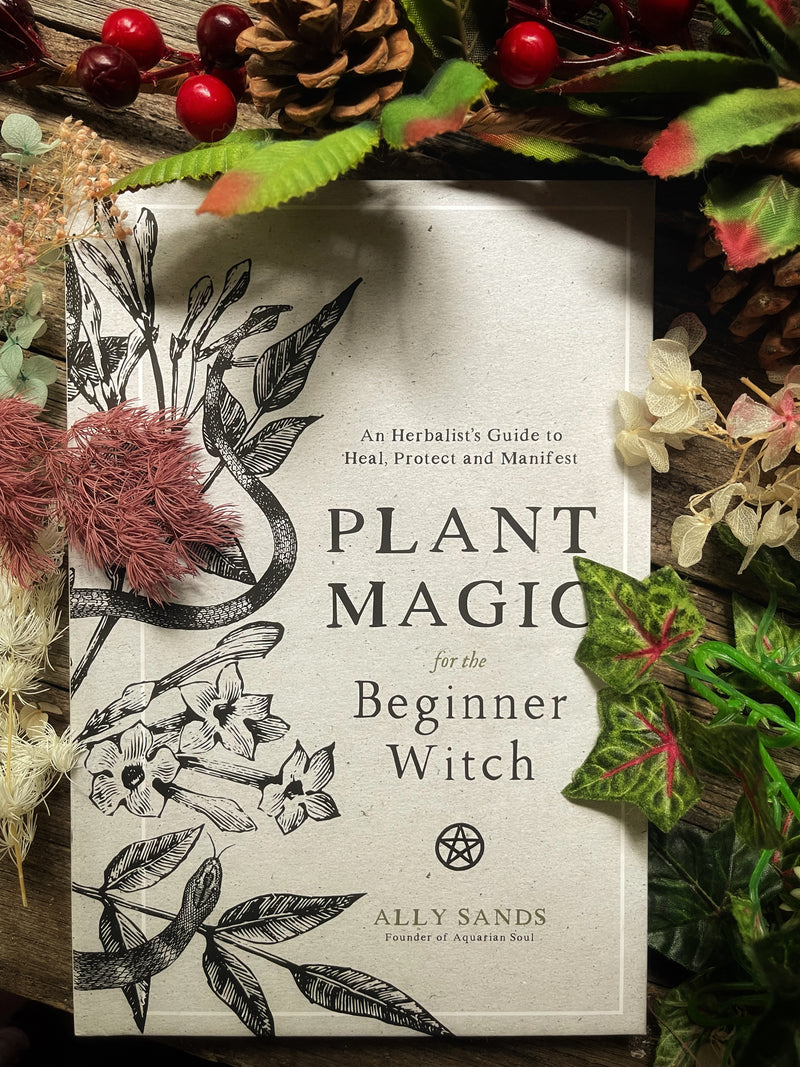 Plant Magic for the Beginner Witch - Ally Sands